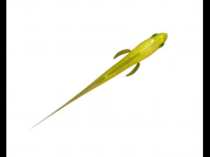 yellow watchman goby fish low poly 3D Model
