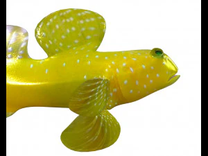 yellow watchman goby fish low poly 3D Model