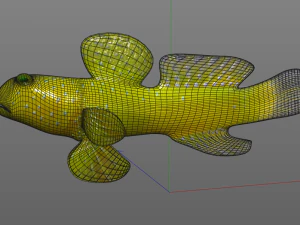 yellow watchman goby fish low poly 3D Model