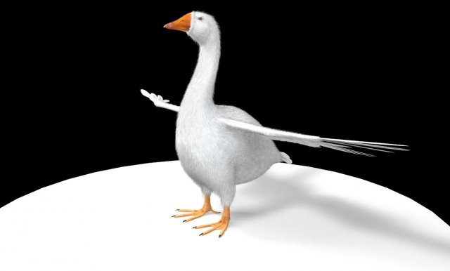 goose bird 3D-Modell .c4d .max .obj .3ds .fbx .stl .blend 
