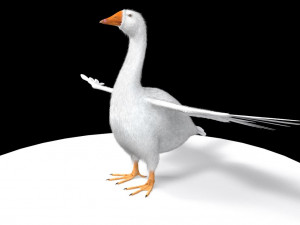 goose bird 3D Models