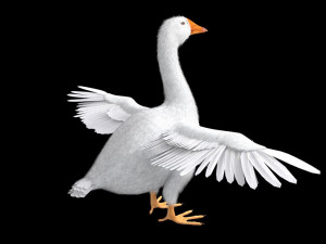 goose bird 3D-Modell