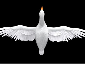goose bird 3D-Modell