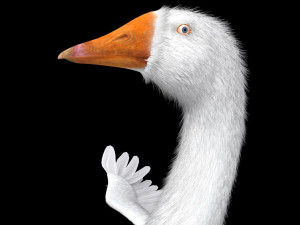 goose bird 3D-Modell