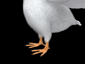 goose bird 3D-Modell