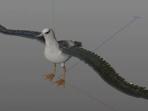 albatross pbr bird rigged low poly 3D Model