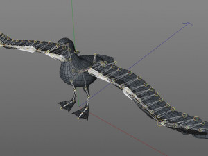 albatross pbr bird rigged low poly 3D Model