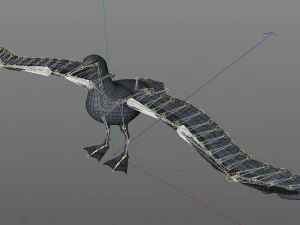 albatross pbr bird rigged low poly 3D Model