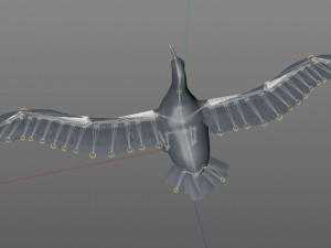 albatross pbr bird rigged low poly 3D Model
