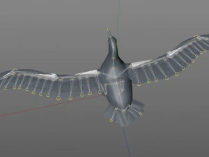 albatross pbr bird rigged low poly 3D Model