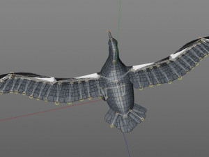 albatross pbr bird rigged low poly 3D Model