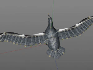 albatross pbr bird rigged low poly 3D Model