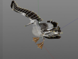 albatross pbr bird rigged low poly 3D Model