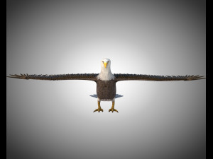 bald eagle pbr bird rigged low poly Modelo 3D