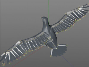 bald eagle pbr bird rigged low poly Modelo 3D
