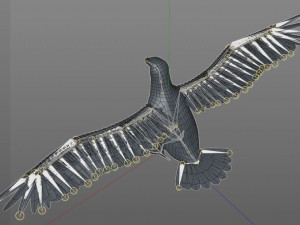 bald eagle pbr bird rigged low poly Modelo 3D