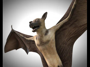 bat pbr bird rigged low poly 3D Model