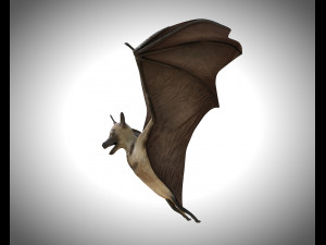 bat pbr bird rigged low poly 3D Model