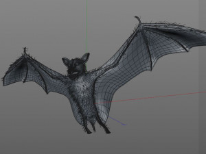 bat pbr bird rigged low poly 3D Model