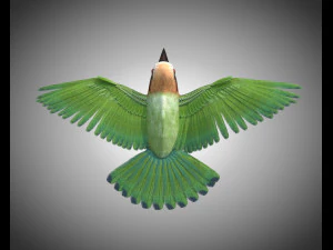 bee eater pbr bird rigged low poly 3D Model