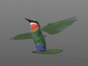 bee eater pbr bird rigged low poly Model 3D