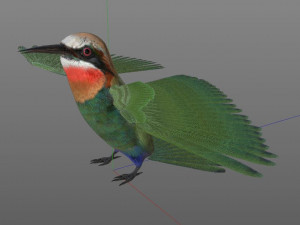 bee eater pbr bird rigged low poly Model 3D