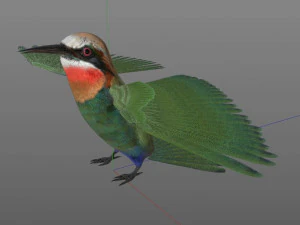 bee eater pbr bird rigged low poly 3D Model