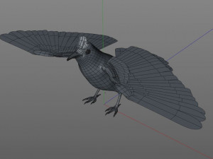 bulbul pbr bird rigged low poly 3D Model