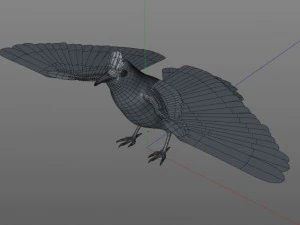 bulbul pbr bird rigged low poly 3D Model