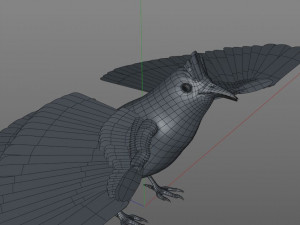 bulbul pbr bird rigged low poly 3D Model