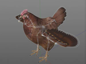 chicken hen pbr bird rigged low poly 3D Model