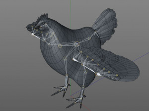 chicken hen pbr bird rigged low poly 3D Model