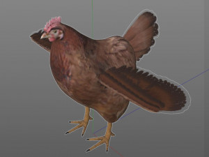 chicken hen pbr bird rigged low poly 3D Model