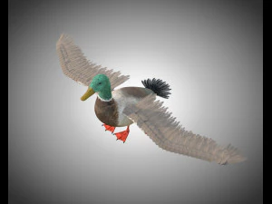 duck pbr bird rigged low poly 3D Model