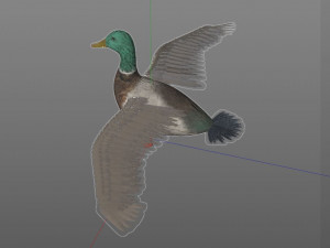 duck pbr bird rigged low poly Model 3D