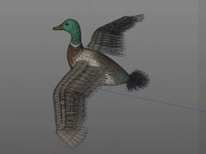 duck pbr bird rigged low poly 3D Model