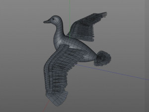 duck pbr bird rigged low poly Model 3D