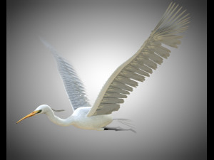 egret pbr bird rigged low poly Modèle 3D
