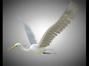 egret pbr bird rigged low poly 3D Model