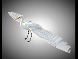 egret pbr bird rigged low poly 3D Model