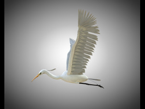 egret pbr bird rigged low poly Modèle 3D