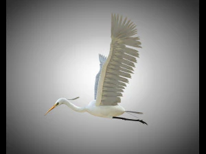egret pbr bird rigged low poly 3D Model