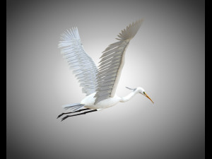 egret pbr bird rigged low poly Modèle 3D