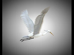 egret pbr bird rigged low poly 3D Model