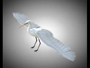 egret pbr bird rigged low poly 3D Model