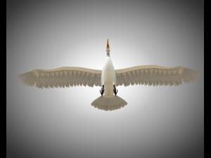 egret pbr bird rigged low poly Modèle 3D