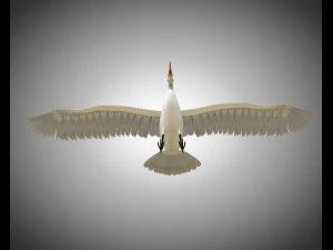 egret pbr bird rigged low poly 3D Model