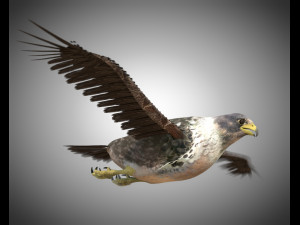 falcon pbr bird rigged low poly Modèle 3D