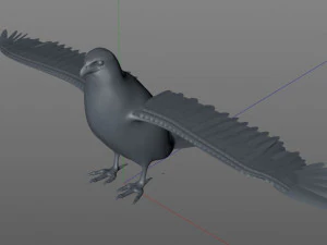 falcon pbr bird rigged low poly 3D Model