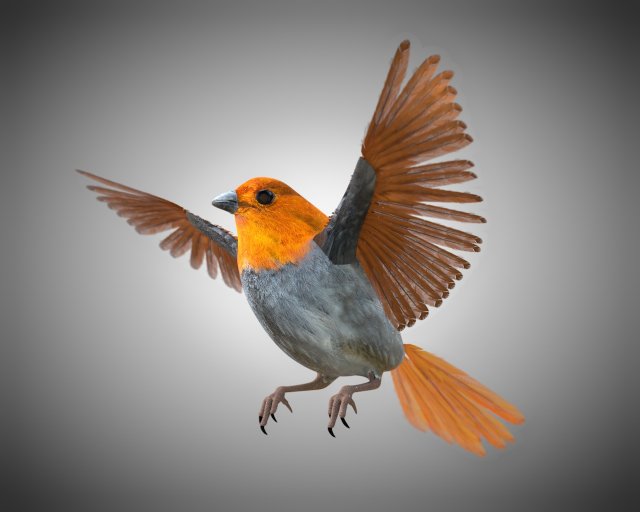 finch pbr bird rigged low poly Model 3D .c4d .max .obj .3ds .fbx .stl .blend 